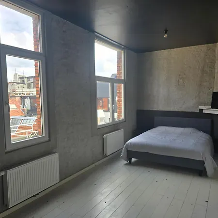 Suikernest * Antwerpia