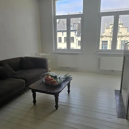Suikernest Antwerpia
