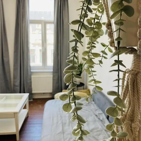 Suikernest Apartament Antwerpia